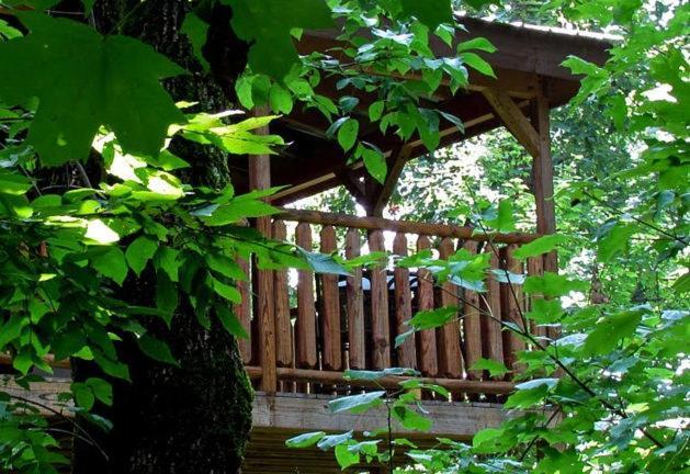 #2903 Abundantly Blessed Villa Pigeon Forge Exteriör bild